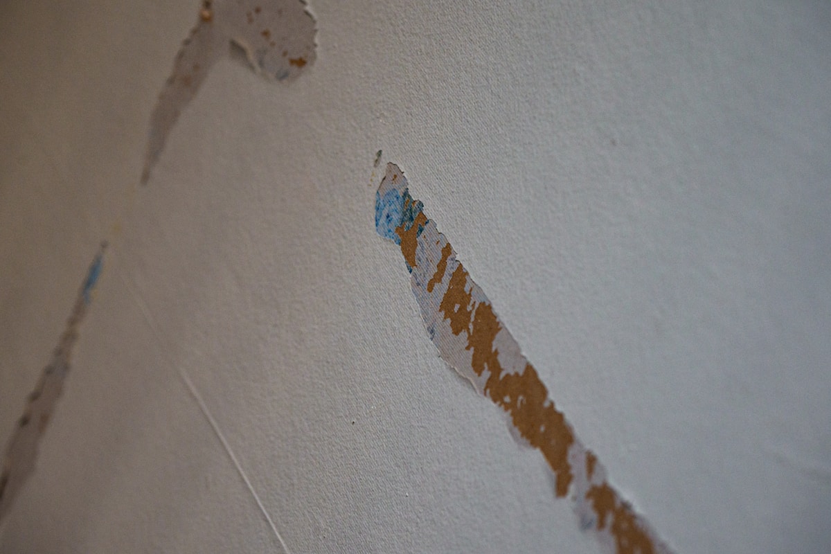 Basement Water Removal service in Bloomington, MN